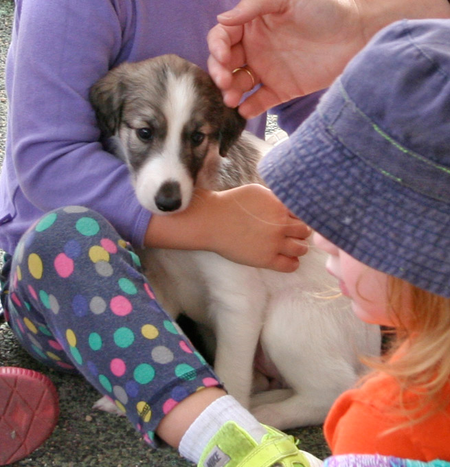 Surf Spots - Girl 2 Cute